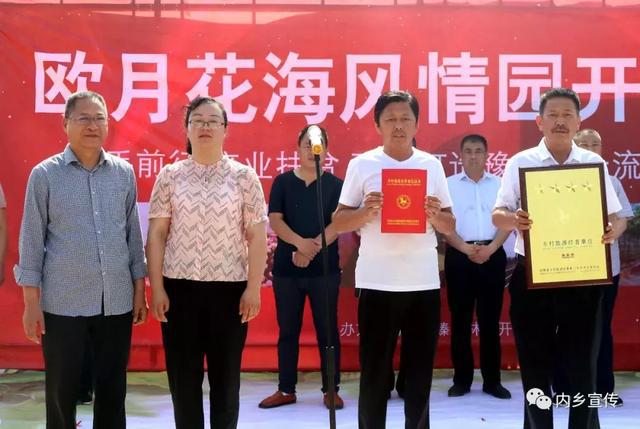 游玩好去處！內(nèi)鄉(xiāng)縣灌漲鎮(zhèn)歐月花海風(fēng)情園盛妝開園(圖6)