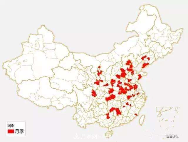 中國各城市市花大集合！月季是51個城市市花具首位(圖1)