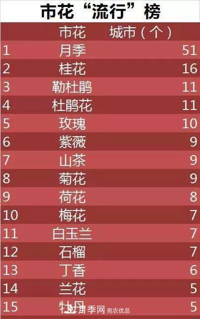 中國各城市市花大集合！月季是51個城市市花具首位(圖3)
