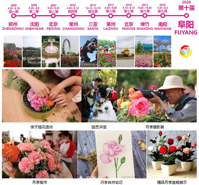 第十屆中國月季展覽會(huì)將于9月在安徽阜陽舉辦(圖1)