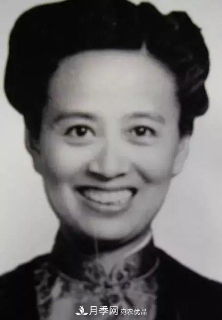 月季夫人蔣恩鈿，是她把月季花種到了人民大會(huì)堂(圖2)