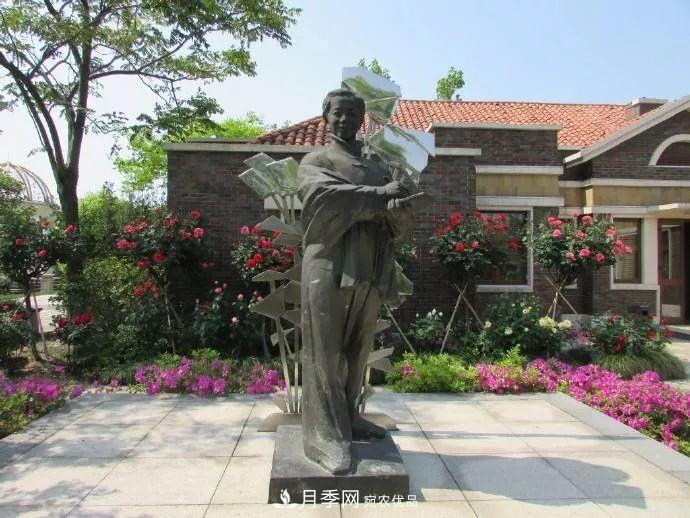 月季夫人蔣恩鈿，是她把月季花種到了人民大會(huì)堂(圖7)