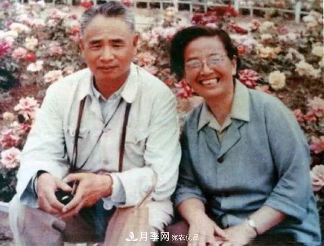 月季夫人蔣恩鈿，是她把月季花種到了人民大會(huì)堂(圖5)