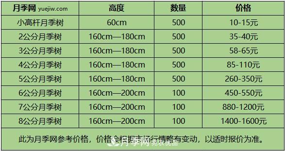 1、3、6公分南陽樹狀月季多少錢一棵？樹狀月季價格表！(圖2)