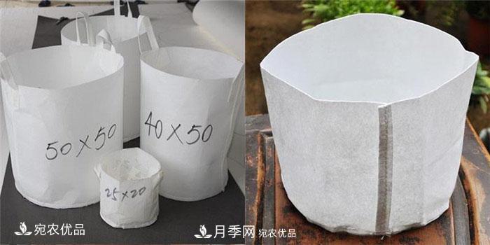 南陽(yáng)月季苗木花卉美植袋植樹(shù)袋廠家批發(fā)價(jià)(圖3)