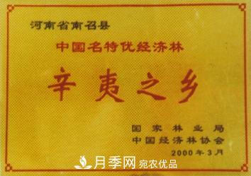 “中國(guó)辛夷之鄉(xiāng)”在哪里？河南省南召縣(圖1)