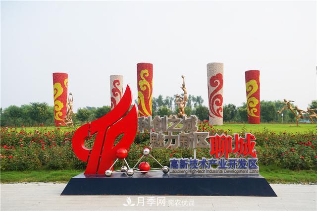 山東濟南的后花園，童話般月季花王國，300畝900個品種月季花盛放(圖3)