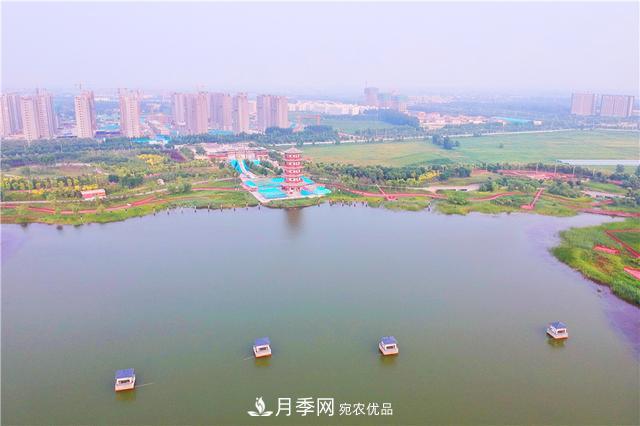山東濟南的后花園，童話般月季花王國，300畝900個品種月季花盛放(圖9)