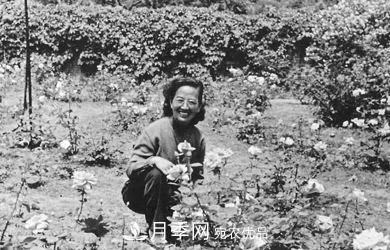 她潛心研究月季，帶領(lǐng)中國月季走向世界，被稱為“月季夫人”(圖4)