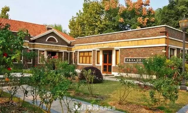 她潛心研究月季，帶領(lǐng)中國月季走向世界，被稱為“月季夫人”(圖3)