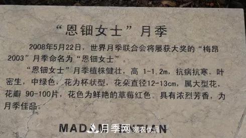 她潛心研究月季，帶領(lǐng)中國月季走向世界，被稱為“月季夫人”(圖9)