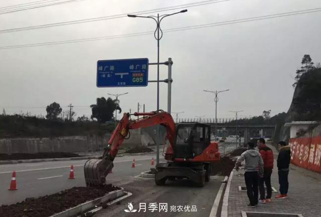 綠化工程苗木價(jià)格計(jì)算辦法(圖1)
