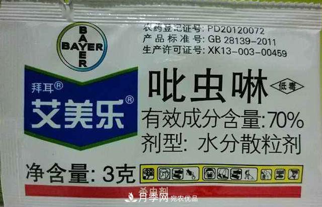 月季的常備藥品有哪些？收好了！(圖4)