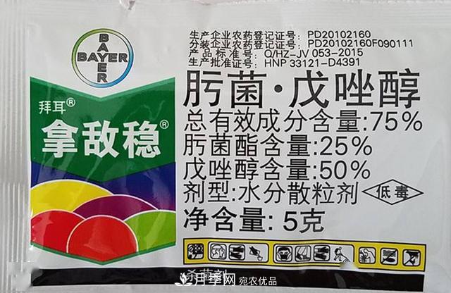 月季的常備藥品有哪些？收好了！(圖5)