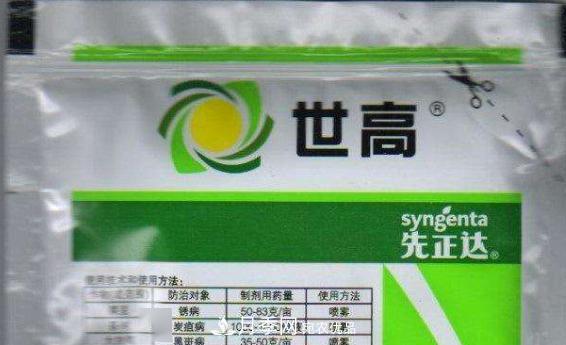 月季的常備藥品有哪些？收好了！(圖6)