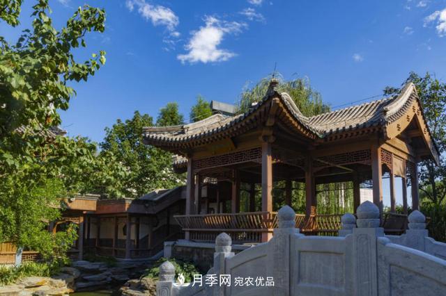 今夏到北京豐臺(tái)，看亭臺(tái)樓閣，賞各色月季(圖4)