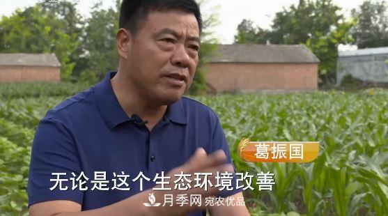 河南商丘男子種苗木，半年?duì)I業(yè)額達(dá)3000萬(圖3)