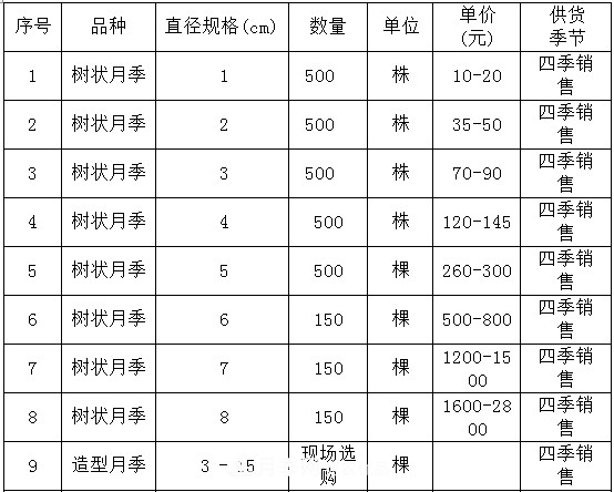安徽樹狀月季的價格？樹狀月季各規(guī)格多少錢一棵？(圖4)