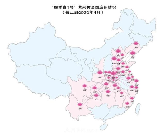 苗木產(chǎn)品的價格、價值和供需——三角關(guān)系之動態(tài)平衡(圖6)