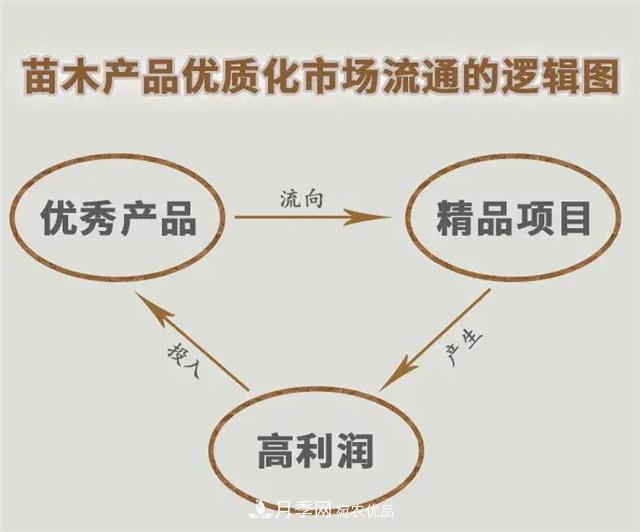 苗木產(chǎn)品的價格、價值和供需——三角關(guān)系之動態(tài)平衡(圖5)