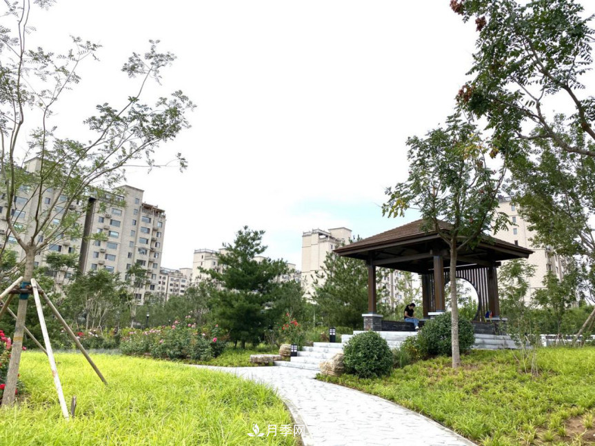 免費，景美，有兒童活動區(qū)！北京密云月季公園，你去了嗎！(圖3)