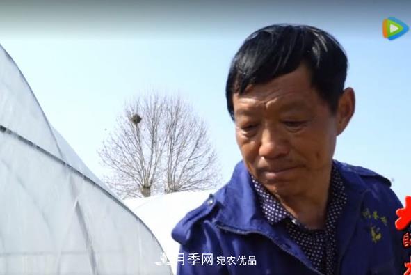 門外漢變成月季大師——南陽市世源實業(yè)有限公司技術總監(jiān)王懷青(圖1)