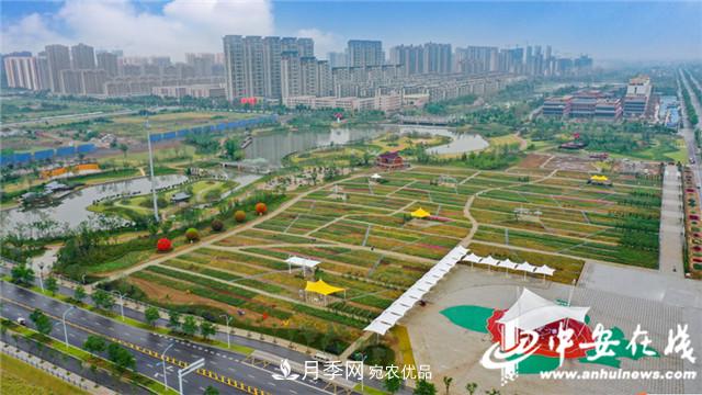 探訪第十屆中國月季展覽會(huì) 2000多種月季花月底綻放(圖2)