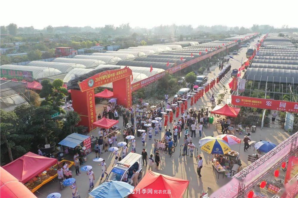 花木盛會，2020第八屆中國?沭陽花木節(jié)將于9月29日開幕！誠邀您大駕光臨！(圖13)