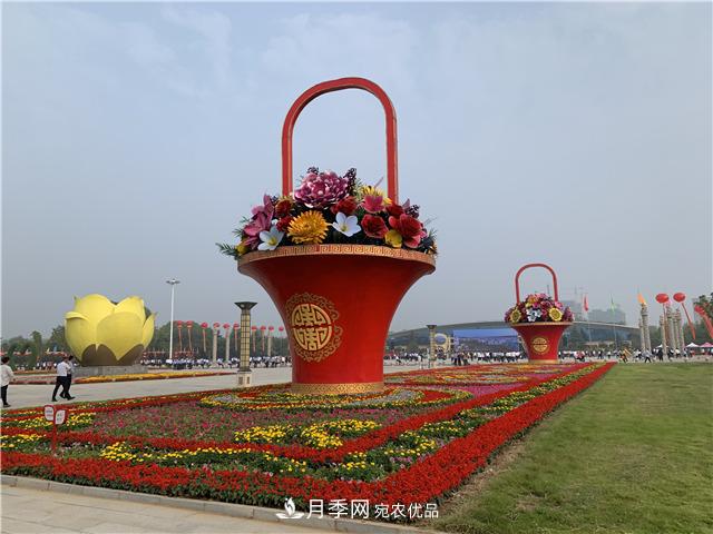河南中原花木交易博覽會 鄢陵云上花博會帶您云賞花(圖1)