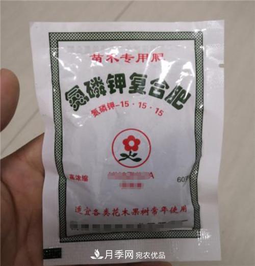 買月季花時贈送的小包肥料和生根粉是真是假？教你辨別(圖1)