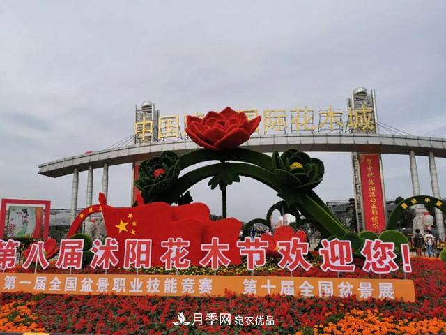 第八屆中國(guó)·沭陽(yáng)花木節(jié)開(kāi)幕，參觀(guān)盆景界的“奧林匹克”(圖1)