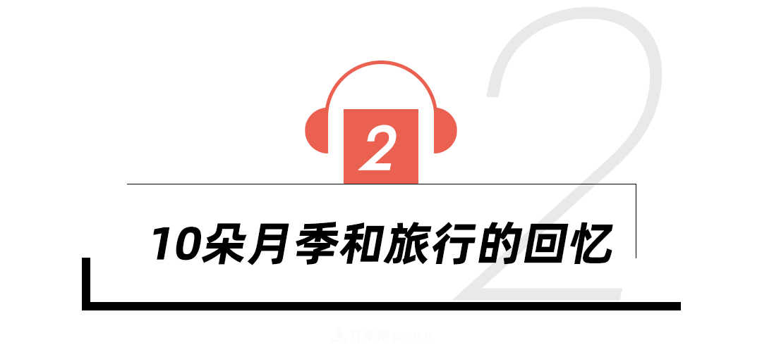 陳丹燕：不能旅行的日子，她開(kāi)始與月季對(duì)話(圖8)
