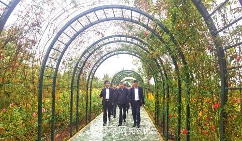 紀念南水北調(diào)南陽深厚友誼，北京京宛友誼月季園開園(圖2)