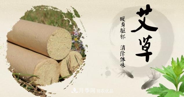 南陽(yáng)仲景艾草產(chǎn)業(yè)占全國(guó)70%份額，年產(chǎn)值10億元，叫響世界？(圖1)