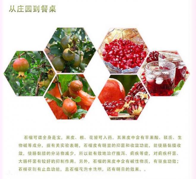 淅川突尼斯軟籽石榴基地批發(fā)價格，好水果(圖2)