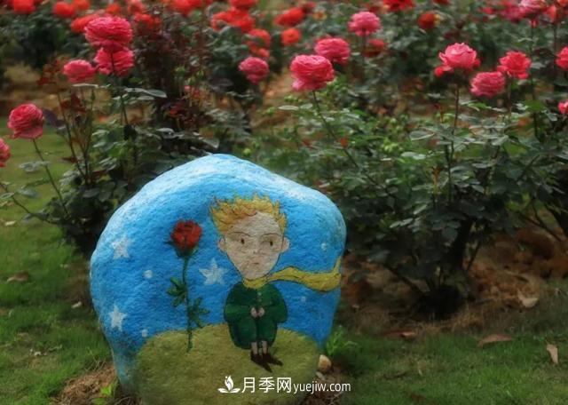 月季/玫瑰花是***具推廣的潛力花木，不用擔(dān)心它的未來(圖1)