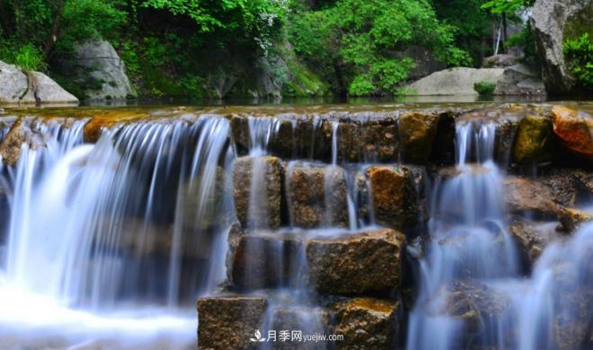 河南五個綠色“海洋”，在20度的森林中呼吸，讓你流連忘返(圖2)