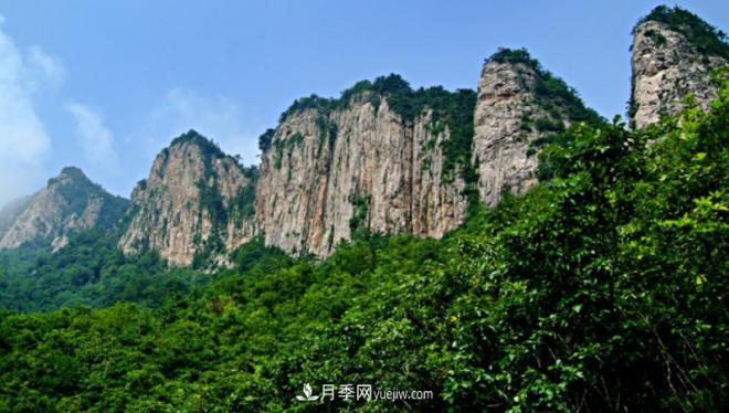 河南五個綠色“海洋”，在20度的森林中呼吸，讓你流連忘返(圖3)