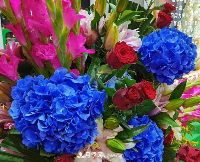 遼寧花卉，合肥斗艷，走進(jìn)2020年中國安徽名優(yōu)農(nóng)產(chǎn)品交易會(圖1)