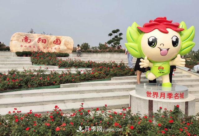 退林還耕政策下不要慌，南陽苗木人需要做好這三件事(圖1)