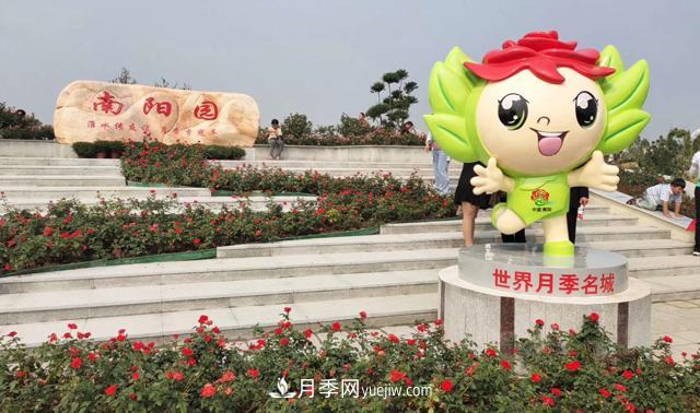 南陽月季香飄九洲，南陽市臥龍區(qū)月季產(chǎn)業(yè)發(fā)展綜述(圖1)