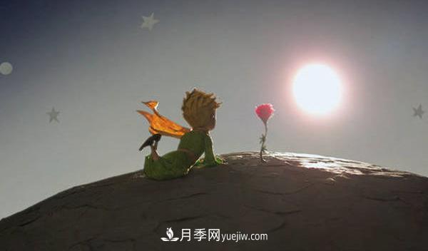 月季為什么是花中皇后？聽月季網(wǎng)講故事(圖3)