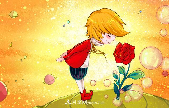 小王子愛的是“月季花”？(圖1)