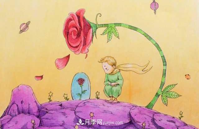 小王子愛的是“月季花”？(圖3)
