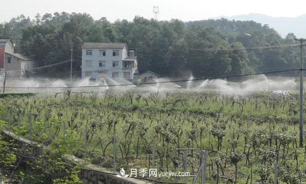 湖北宜昌佳馨月季合作社 帶動農(nóng)民增收致富(圖2)