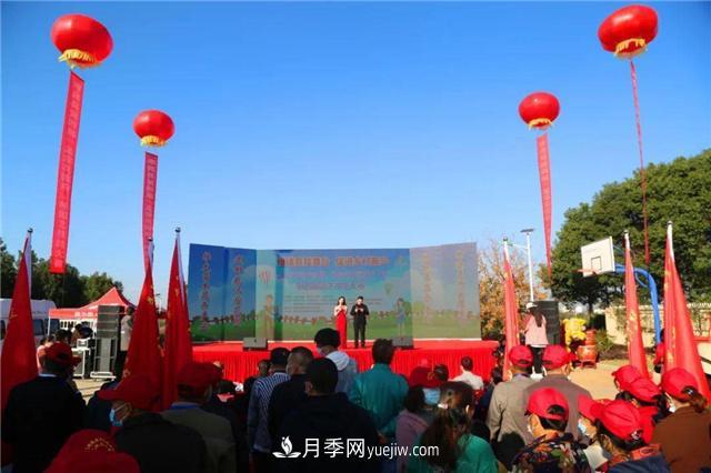 擦亮生態(tài)品牌助力鄉(xiāng)村振興，湖北孝昌苗木花卉產(chǎn)業(yè)發(fā)展綜述(圖1)