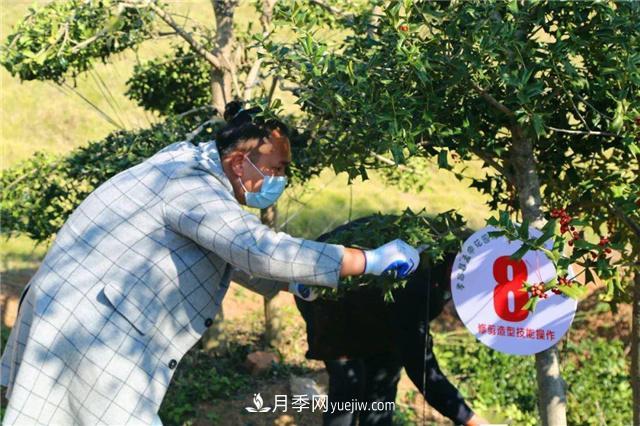 擦亮生態(tài)品牌助力鄉(xiāng)村振興，湖北孝昌苗木花卉產(chǎn)業(yè)發(fā)展綜述(圖2)