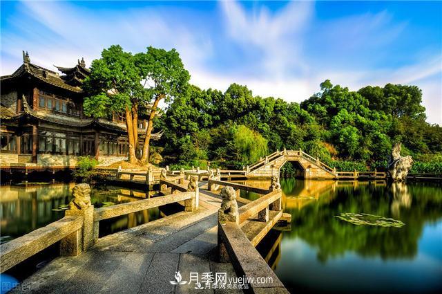 園林綠化樹苗木的培育技術(shù)，效益可觀！(圖1)
