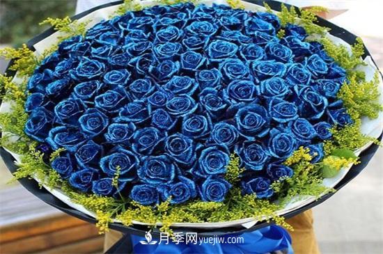 玫瑰花語是什么？盤點五個顏色的玫瑰花語(圖2)