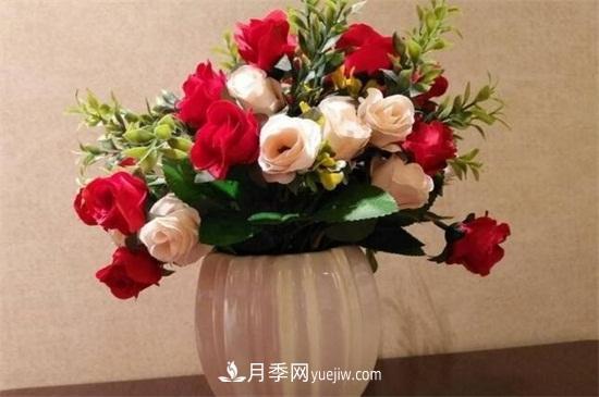 玫瑰花怎么種？玫瑰花種植方法和步驟(圖2)